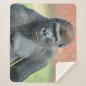 Blackback Gorilla Lope Portrait Sherpadecke (Vorderseite)