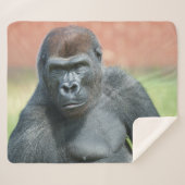 Blackback Gorilla Lope Portrait Sherpadecke (Vorderseite (Horizontal))