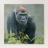 Blackback Gorilla Lope Puzzle (Vertikal)