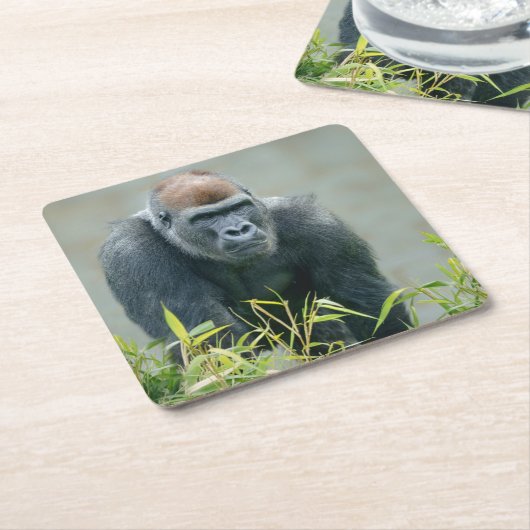 Blackback Gorilla Lope Rechteckiger Pappuntersetzer (angewinkelt)