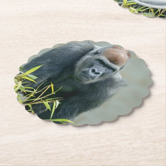 Blackback Gorilla Lope Untersetzer (angewinkelt)