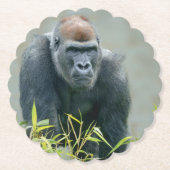 Blackback Gorilla Lope Untersetzer (Vorderseite)