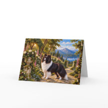 Blackberries, Shetland Sheepdog