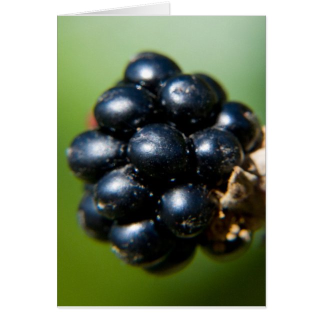 BlackBerry (Vorne)