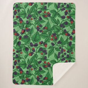 BlackBerry auf grün Sherpadecke