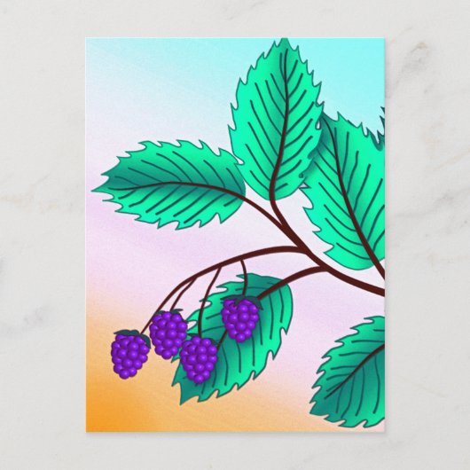 BlackBerry auf Zweig Postkarte (Vorderseite)