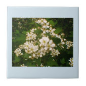 BlackBerry Bloom Fliese (Vorderseite)