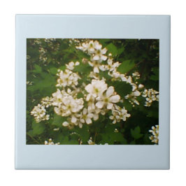 BlackBerry Bloom Fliese