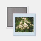 BlackBerry Bloom Magnet (Vorderseite/Rückseite)