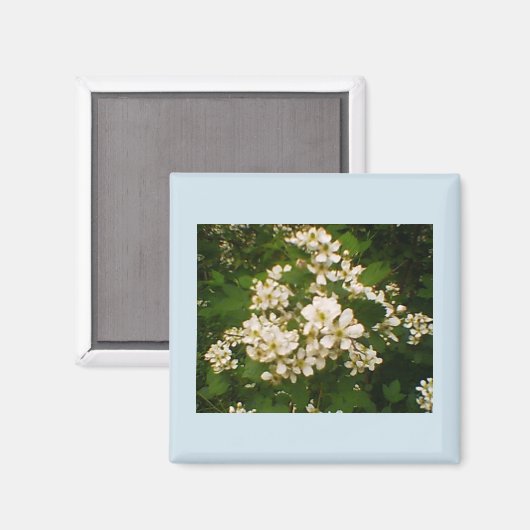 BlackBerry Bloom Magnet (Vorderseite/Rückseite)