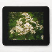 BlackBerry Blossom Mousepad (Vorne)