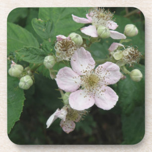 BlackBerry Blume Cork Untersetzer