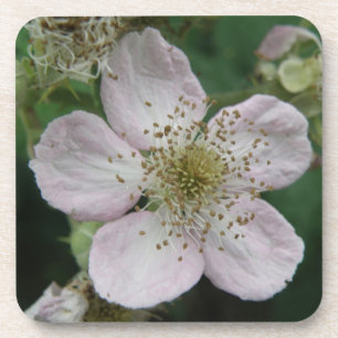 BlackBerry Blume Macro Cork Untersetzer