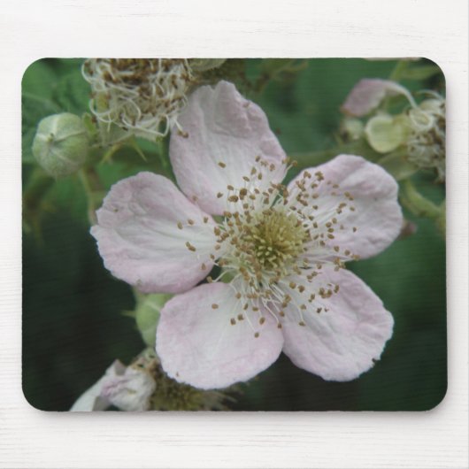 BlackBerry Blume Macro Mousepad (Vorne)