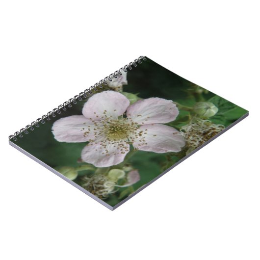 BlackBerry-Blume-Macro-Notebook Notizblock (Linke Seite)