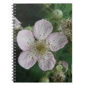 BlackBerry-Blume-Macro-Notebook Notizblock (Vorderseite)