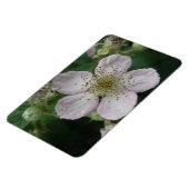 BlackBerry Blume Macro Premium Magnet (Linke Seite)