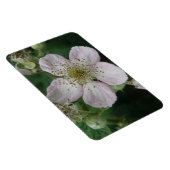 BlackBerry Blume Macro Premium Magnet (Rechte Seite)
