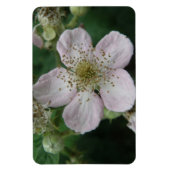 BlackBerry Blume Macro Premium Magnet (Vertikal)