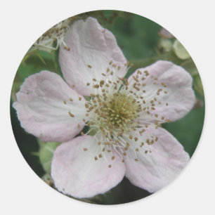 BlackBerry Blume Makro-Aufkleber Runder Aufkleber