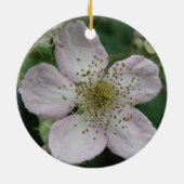 BlackBerry Blume Makro Ornamente (Hinten)