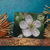 BlackBerry Blume Makro Plaque Fotoplatte (Seite)