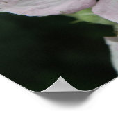 BlackBerry Blume Makro-Poster Poster (Ecke)