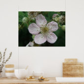 BlackBerry Blume Makro-Poster Poster (Küche)