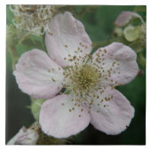 BlackBerry Blume Makro-Tile Fliese (Vorderseite)