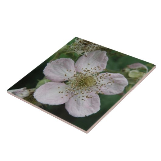 BlackBerry Blume Makro-Tile Fliese (Seite)