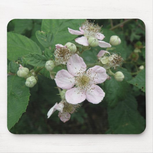 BlackBerry Blume Mousepad (Vorne)