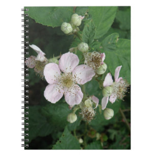 BlackBerry-Blume-Notebook Notizblock
