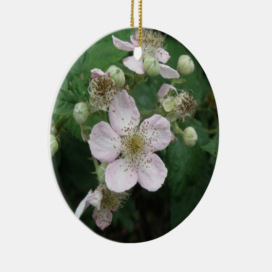 BlackBerry Blume Ornamente (Rechts)