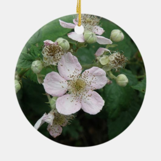 BlackBerry Blume Ornamente (Hinten)