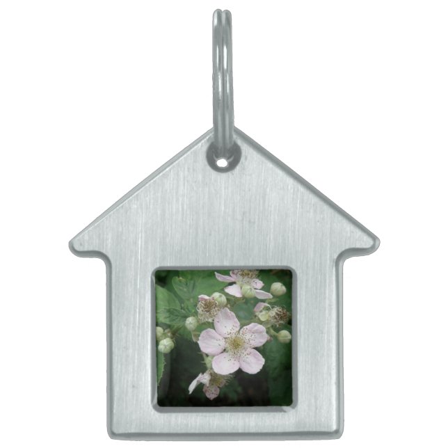 BlackBerry-Blume Pet-Tag Tiermarke (Vorderseite)