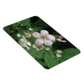 BlackBerry Blume Premium Magnet (Rechte Seite)