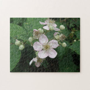 BlackBerry Blume Puzzle
