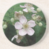 BlackBerry Blume Untersetzer (Vorne)