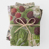 BlackBerry Blumengarten Blume Schmetterling Kunst Geschenkpapier Set (Beispiel)