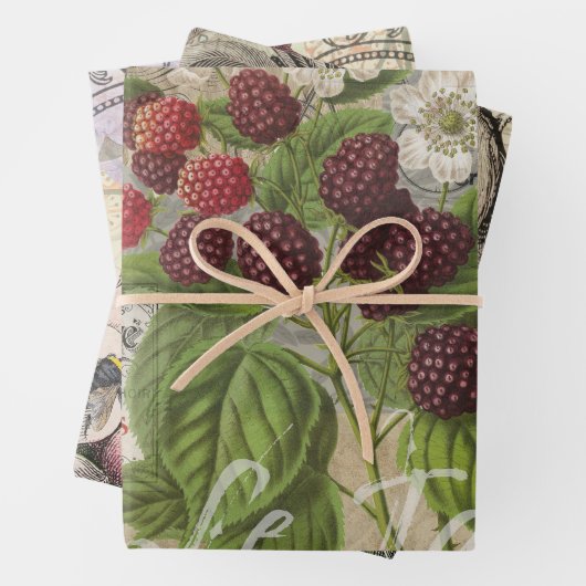 BlackBerry Blumengarten Blume Schmetterling Kunst Geschenkpapier Set (Beispiel)