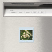 Blackberry-Blüte Magnet (In Situ (Geschirrspüler))