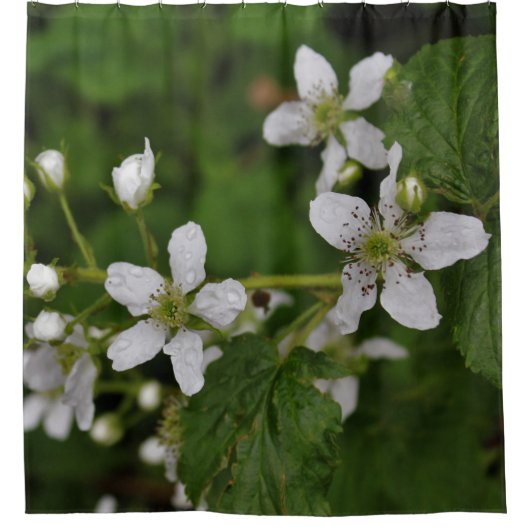 BlackBerry-Blüten Duschvorhang (Vorderseite)