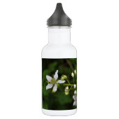 BlackBerry-Blüten Edelstahlflasche (Links)