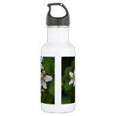 BlackBerry-Blüten Edelstahlflasche (Rückseite)