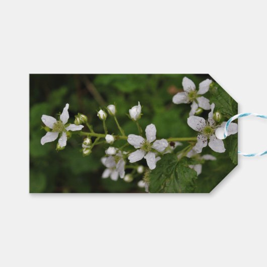 BlackBerry-Blüten Geschenkanhänger (Vorderseite (Horizontal))