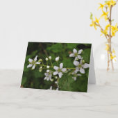 BlackBerry-Blüten Karte (Gelbe Blume)