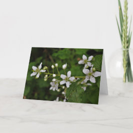 BlackBerry-Blüten Karte