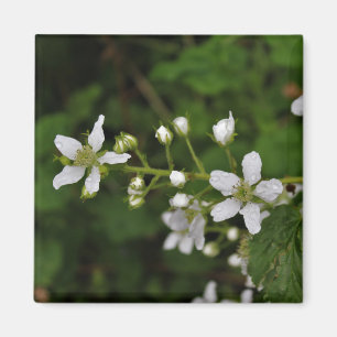 BlackBerry-Blüten Magnet