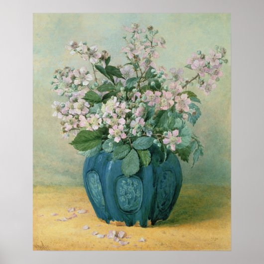 BlackBerry-Blüten Poster (Vorne)