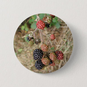 BlackBerry Bonanza Button